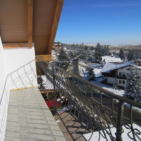 Pensiunea Alpina Casi&Spa Paltinis Ruang foto
