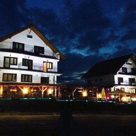 Pensiunea Alpina Casi&Spa Paltinis Bagian luar foto