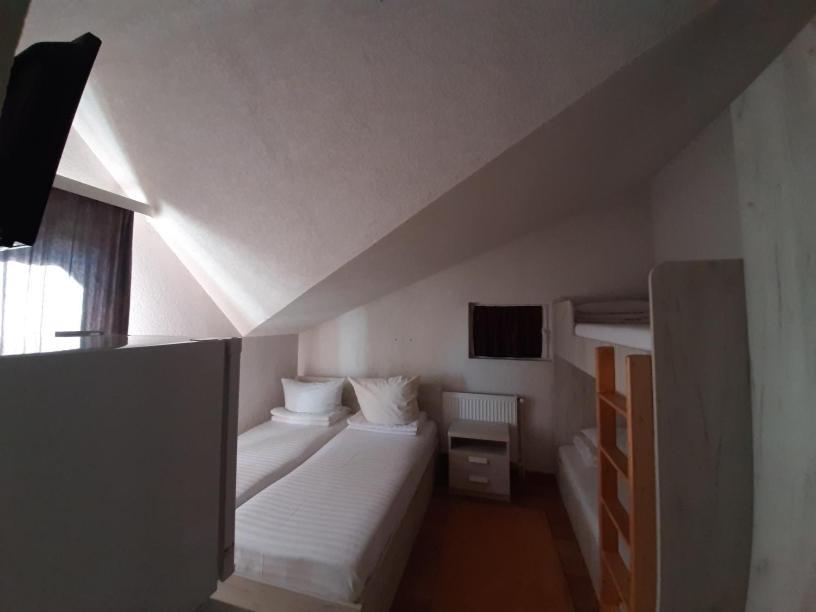 Pensiunea Alpina Casi&Spa Paltinis Bagian luar foto