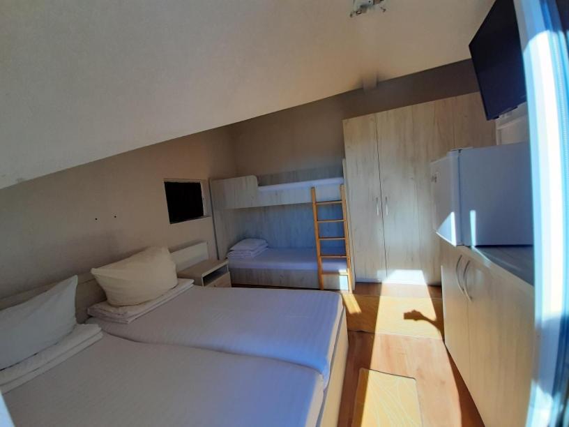 Pensiunea Alpina Casi&Spa Paltinis Bagian luar foto