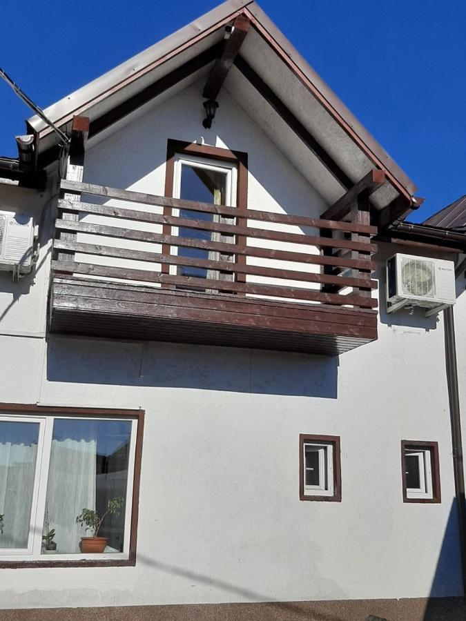 Pensiunea Alpina Casi&Spa Paltinis Bagian luar foto