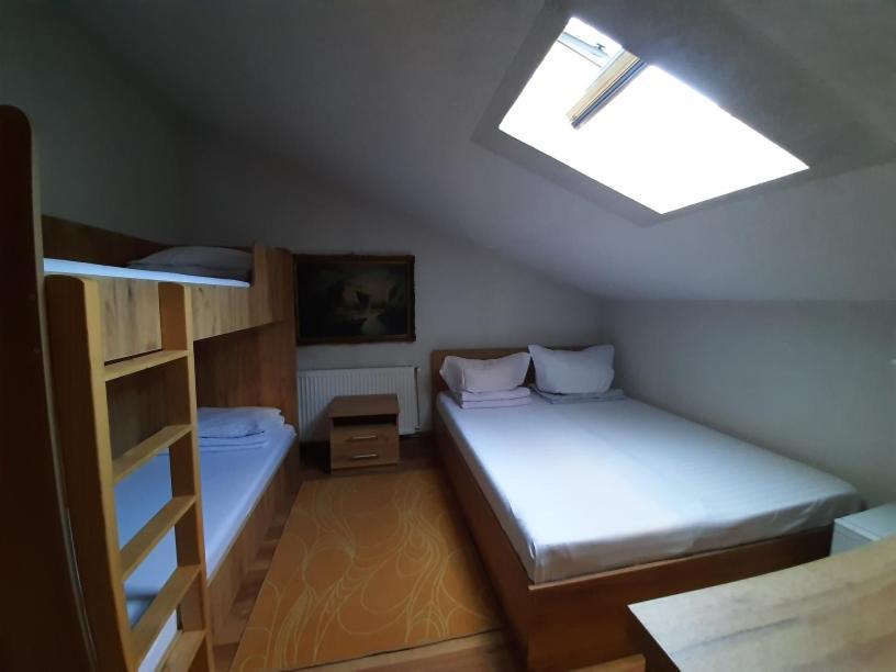 Pensiunea Alpina Casi&Spa Paltinis Bagian luar foto