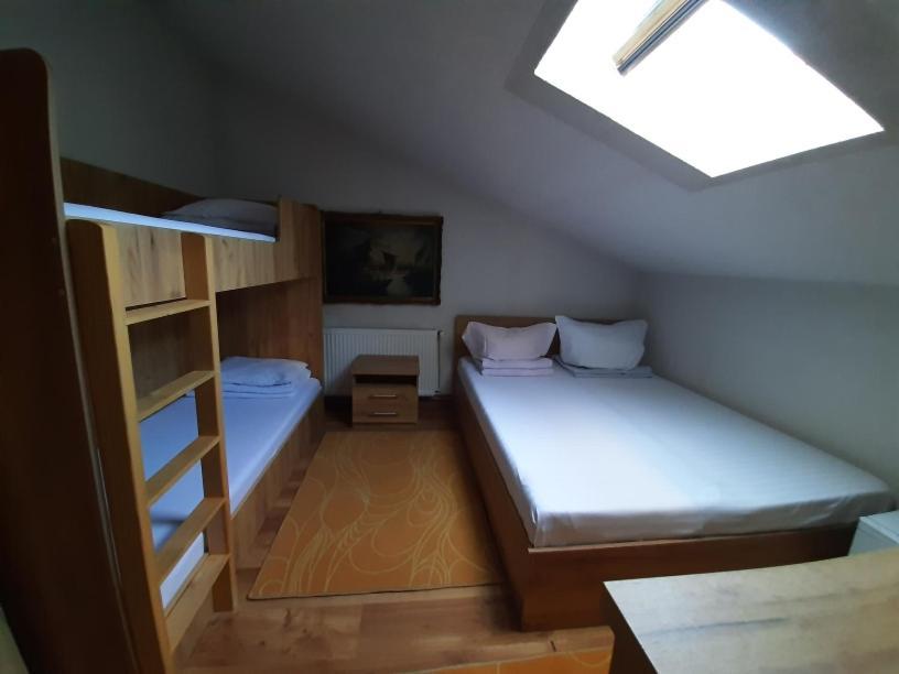 Pensiunea Alpina Casi&Spa Paltinis Bagian luar foto
