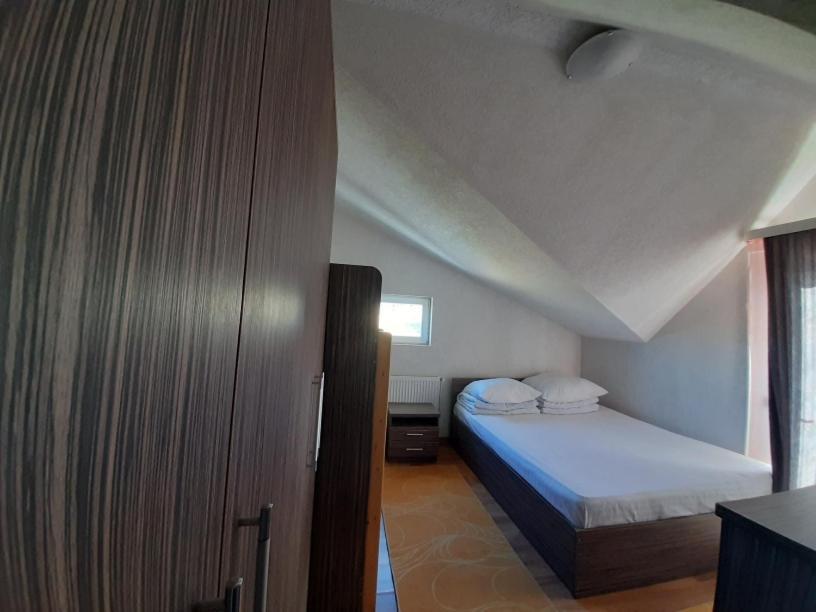 Pensiunea Alpina Casi&Spa Paltinis Bagian luar foto