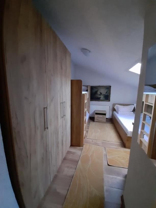 Pensiunea Alpina Casi&Spa Paltinis Bagian luar foto