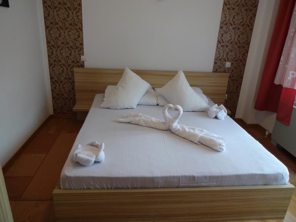Pensiunea Alpina Casi&Spa Paltinis Bagian luar foto