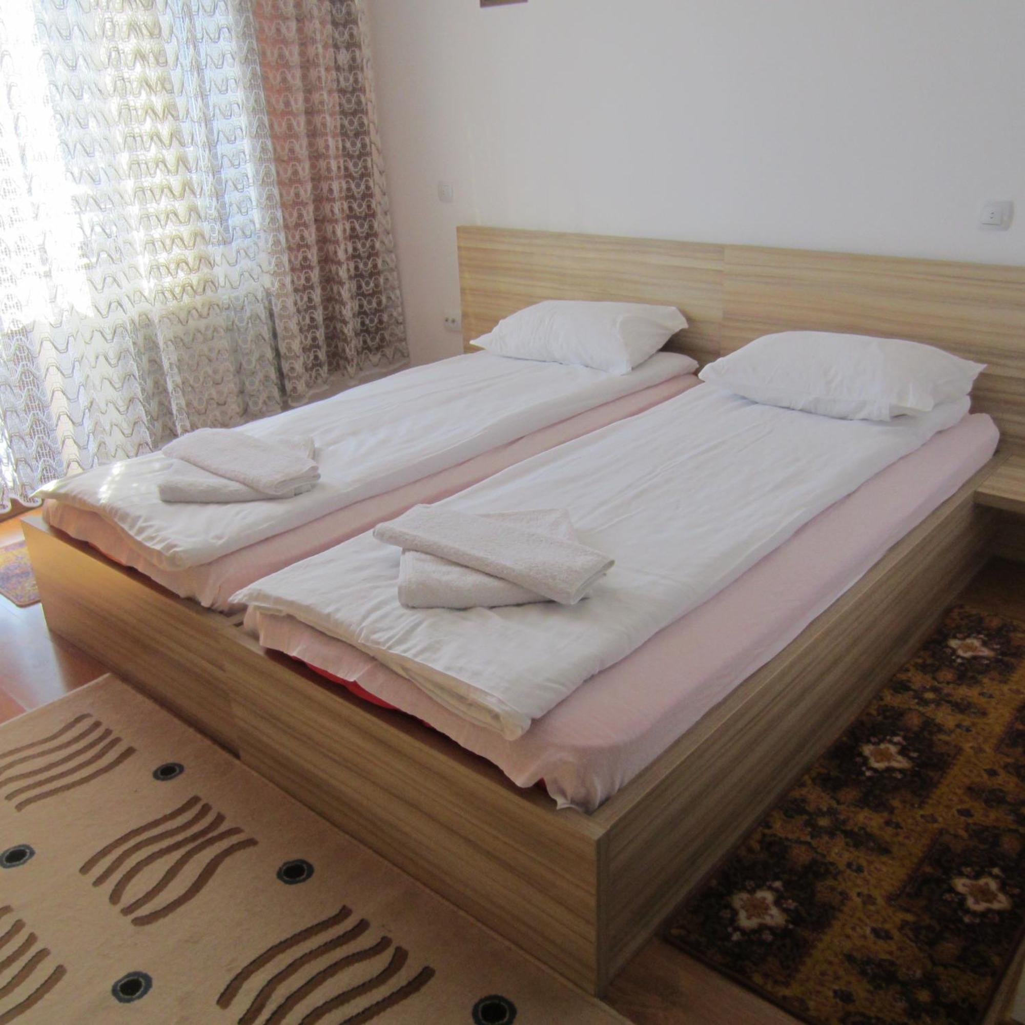 Pensiunea Alpina Casi&Spa Paltinis Ruang foto