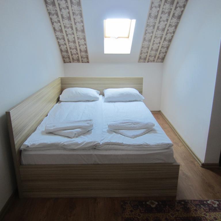 Pensiunea Alpina Casi&Spa Paltinis Ruang foto