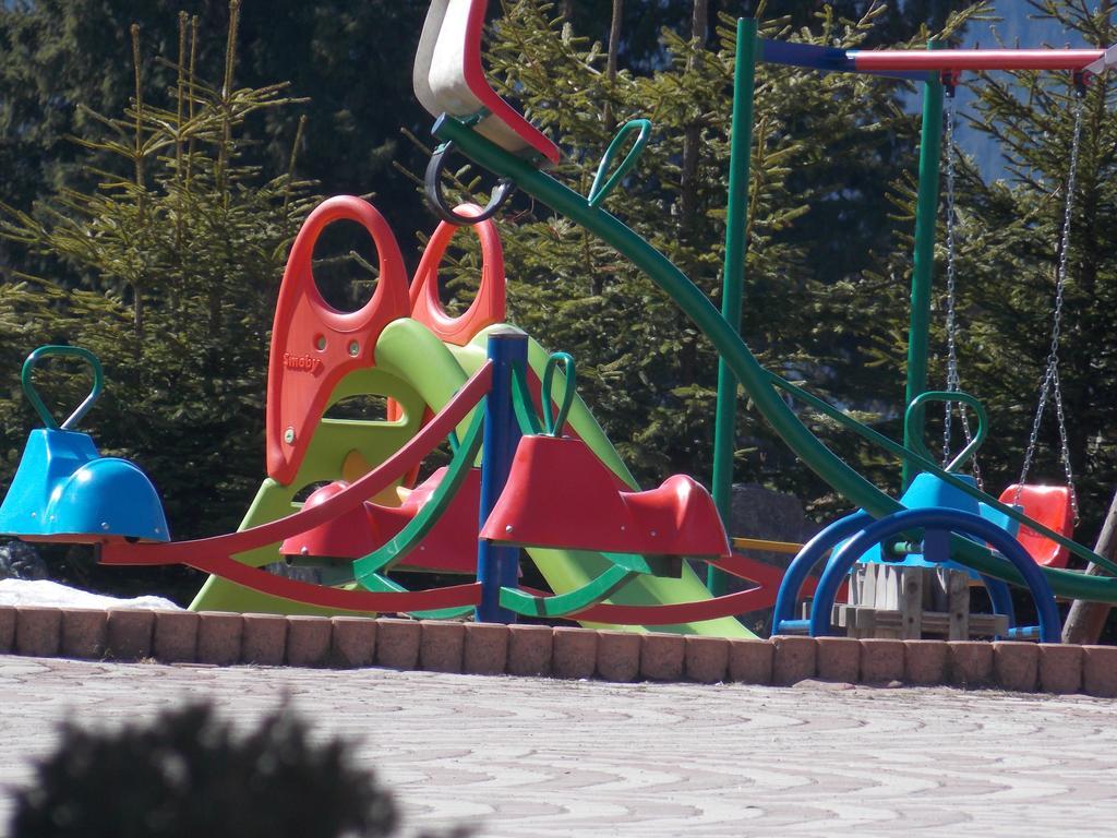 Pensiunea Alpina Casi&Spa Paltinis Bagian luar foto