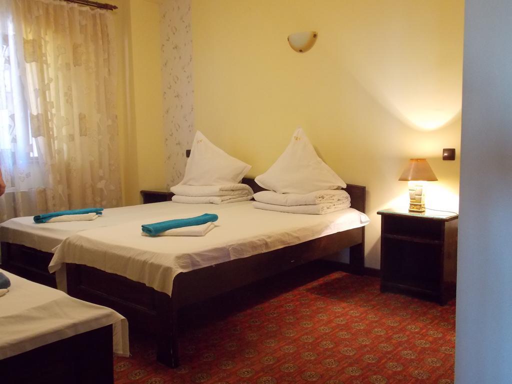 Pensiunea Alpina Casi&Spa Paltinis Bagian luar foto