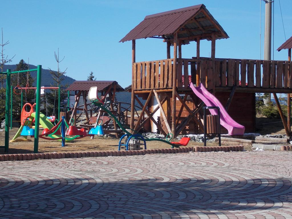 Pensiunea Alpina Casi&Spa Paltinis Bagian luar foto