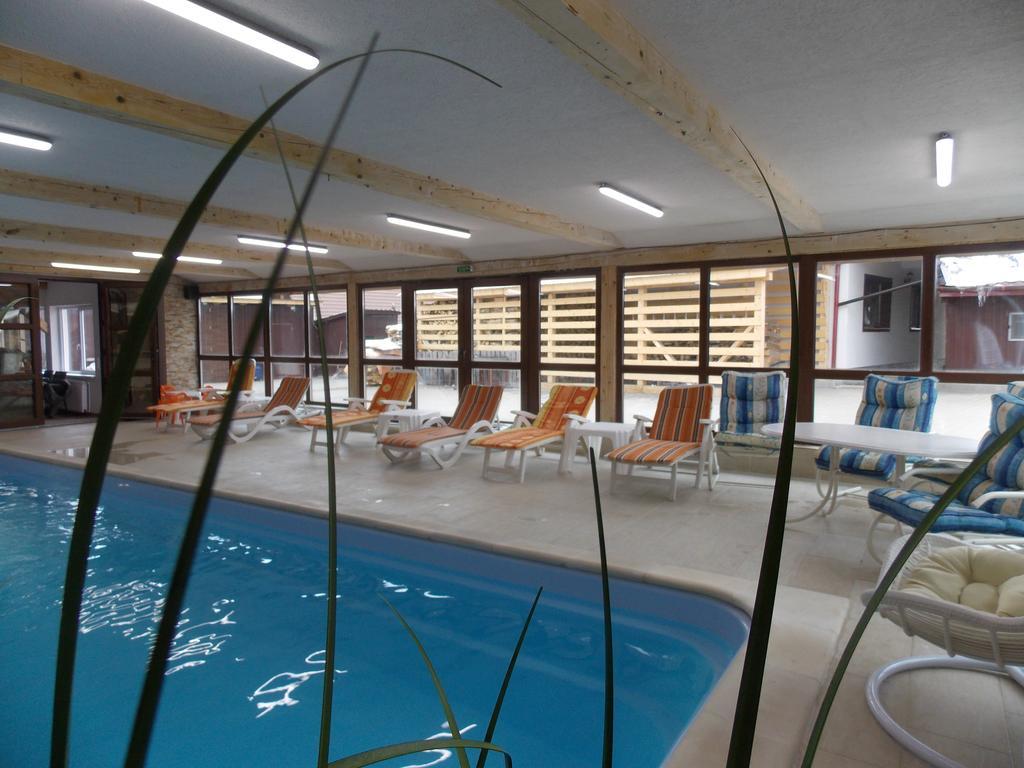 Pensiunea Alpina Casi&Spa Paltinis Bagian luar foto