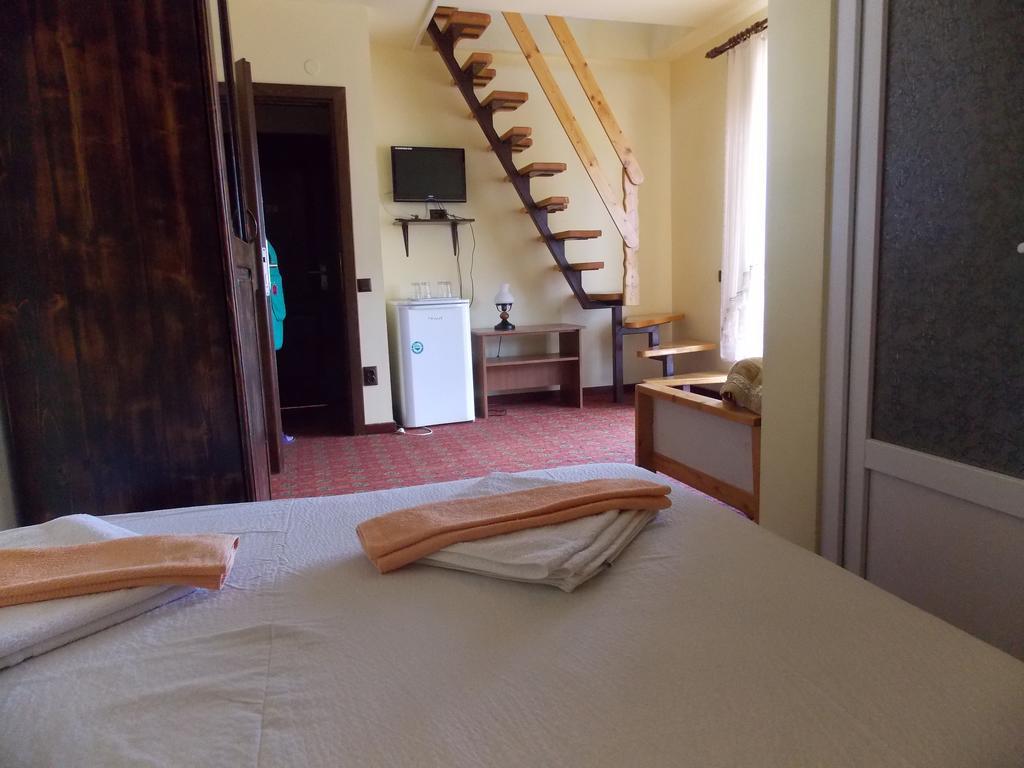 Pensiunea Alpina Casi&Spa Paltinis Bagian luar foto