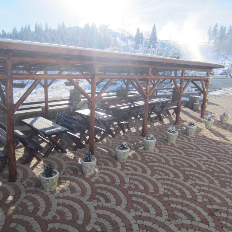 Pensiunea Alpina Casi&Spa Paltinis Bagian luar foto
