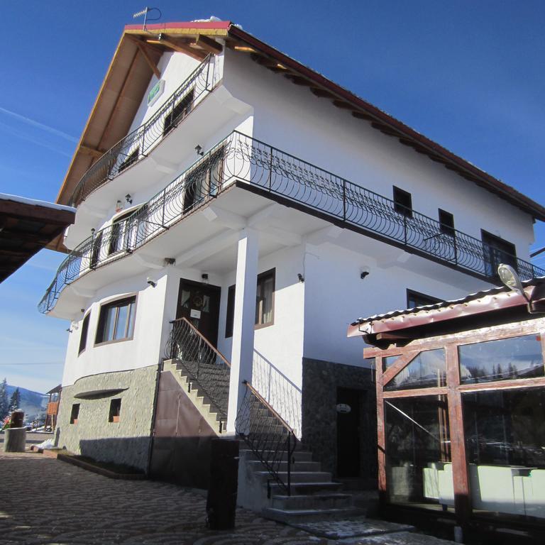 Pensiunea Alpina Casi&Spa Paltinis Bagian luar foto