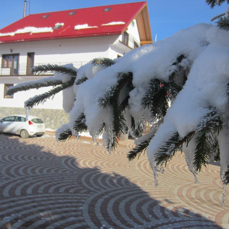 Pensiunea Alpina Casi&Spa Paltinis Bagian luar foto
