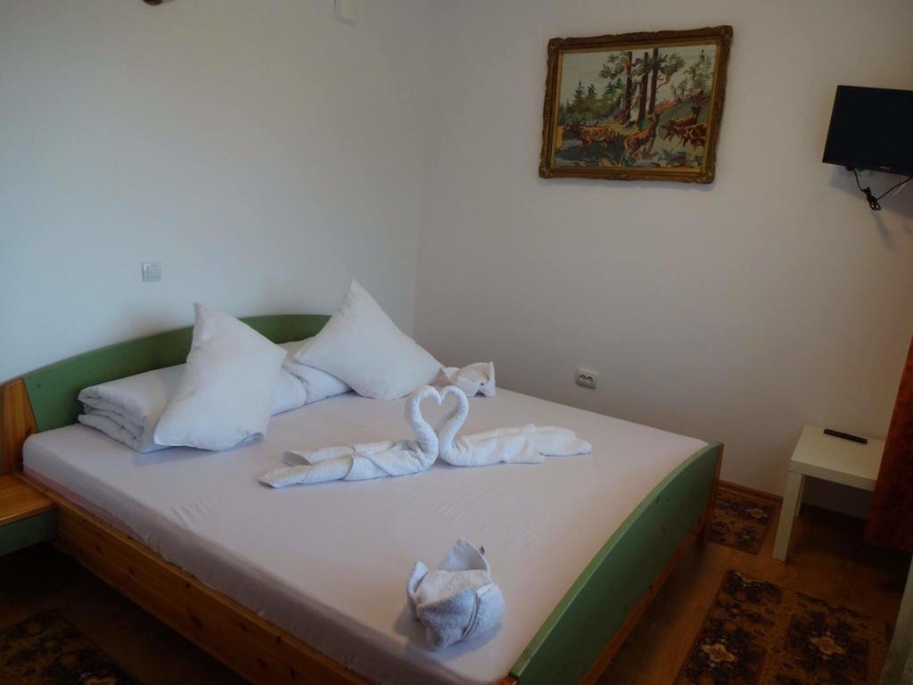 Pensiunea Alpina Casi&Spa Paltinis Bagian luar foto