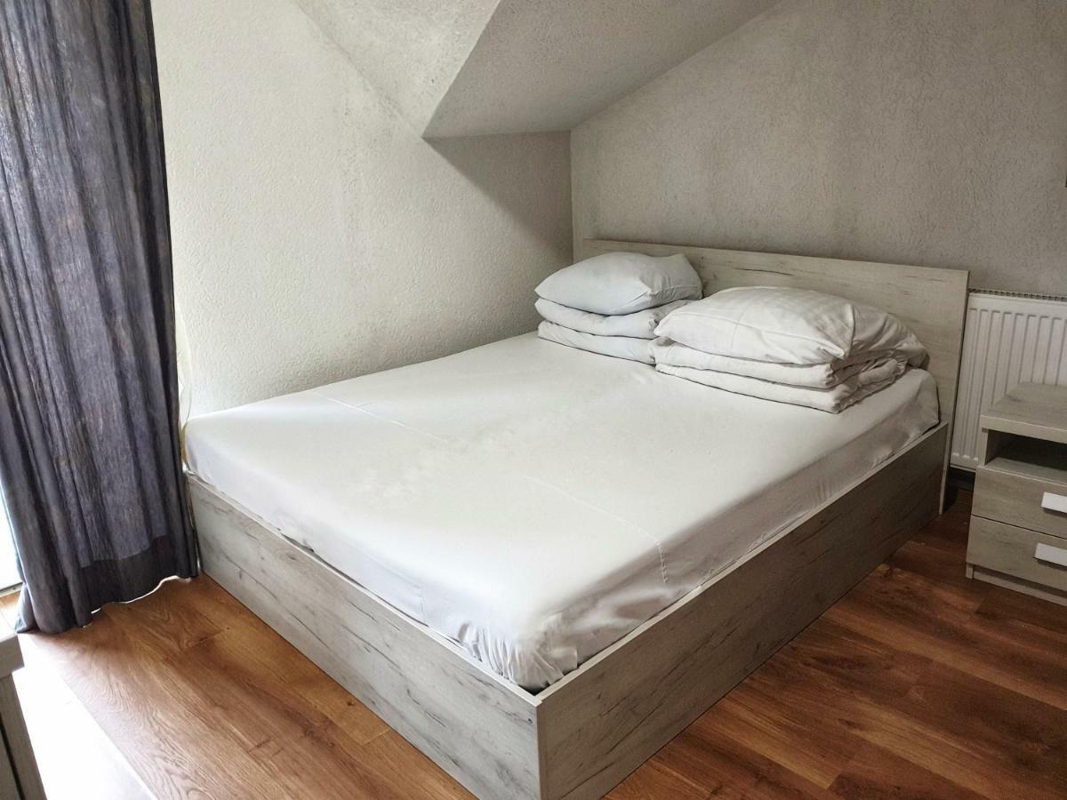 Pensiunea Alpina Casi&Spa Paltinis Bagian luar foto