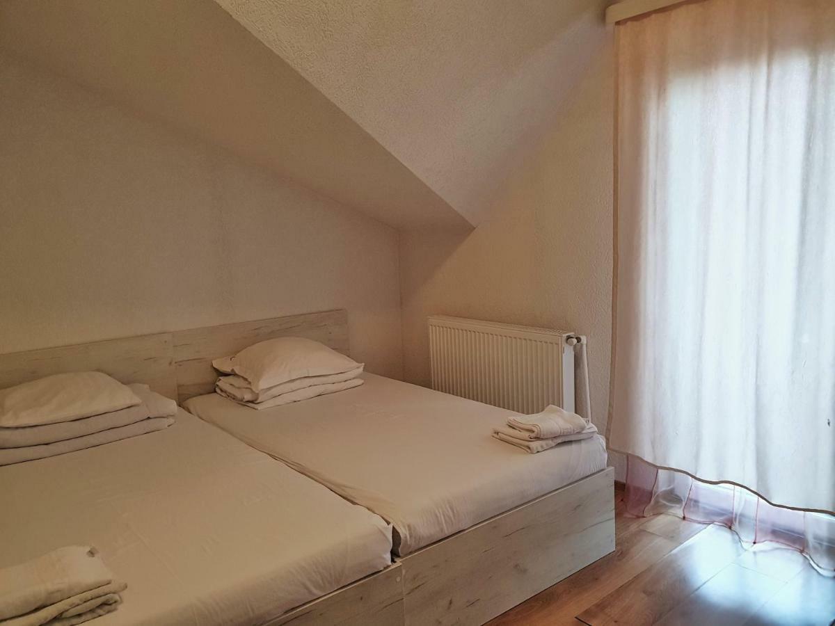 Pensiunea Alpina Casi&Spa Paltinis Bagian luar foto