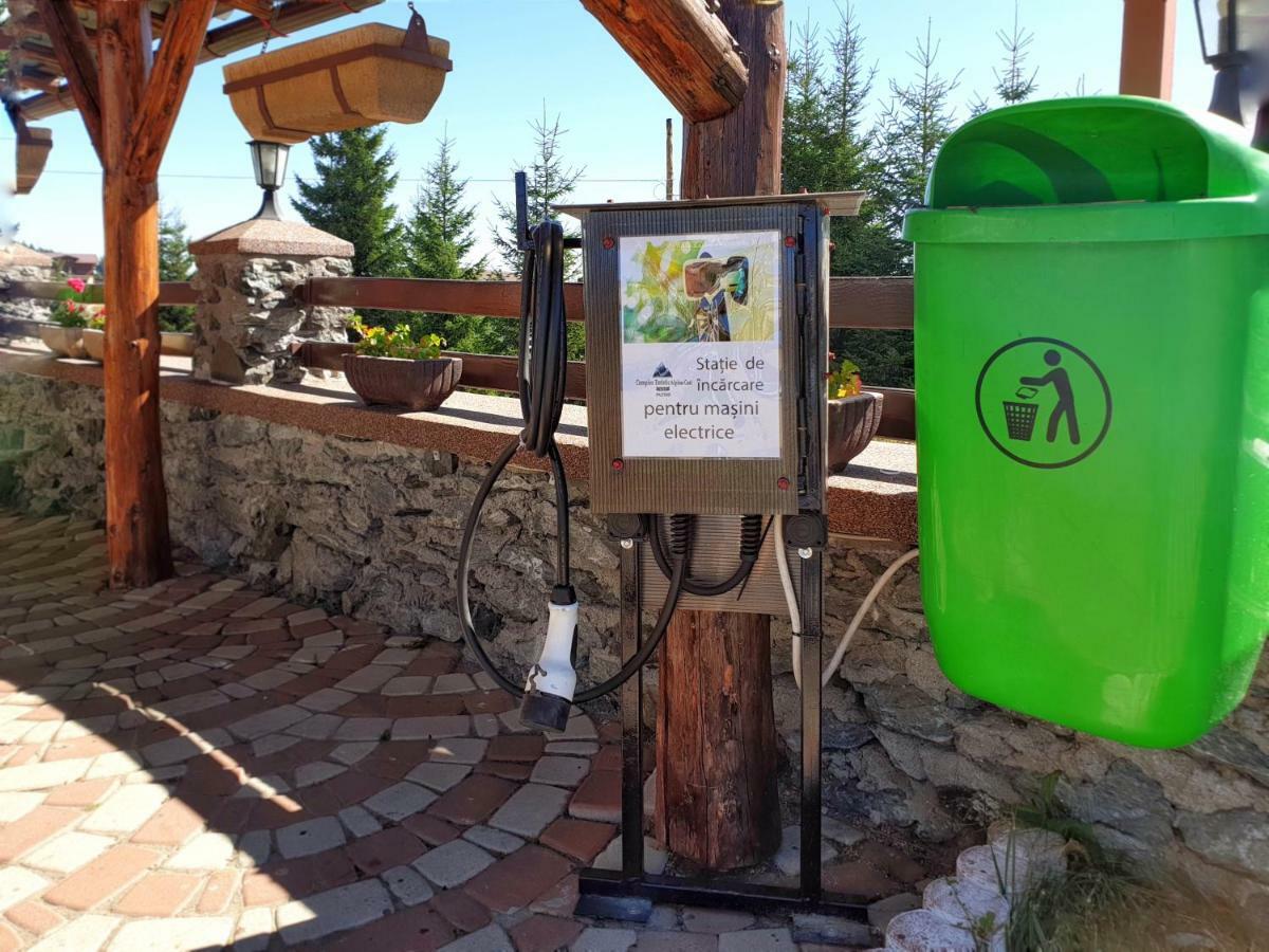 Pensiunea Alpina Casi&Spa Paltinis Bagian luar foto