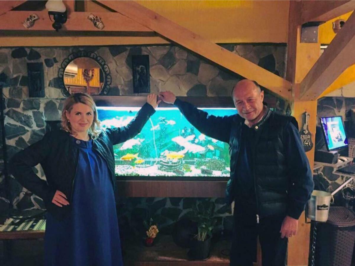 Pensiunea Alpina Casi&Spa Paltinis Bagian luar foto