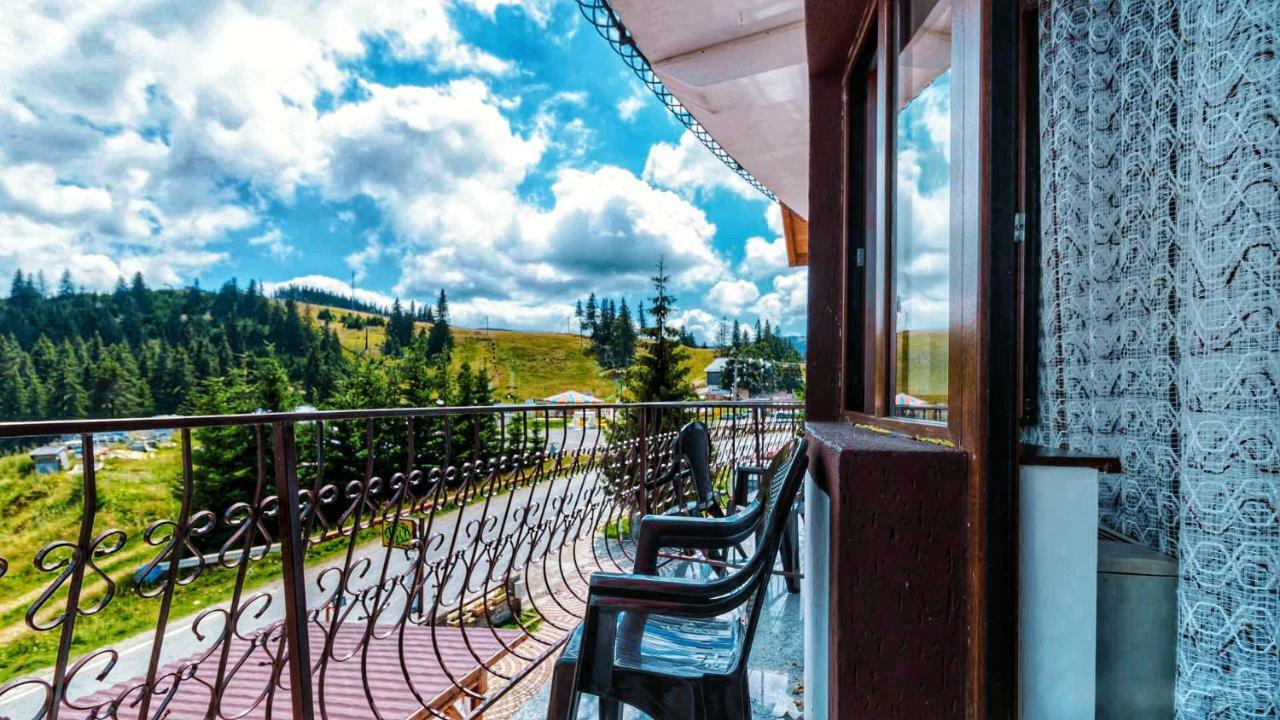 Pensiunea Alpina Casi&Spa Paltinis Bagian luar foto
