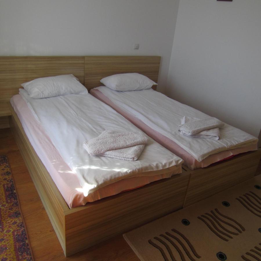 Pensiunea Alpina Casi&Spa Paltinis Ruang foto